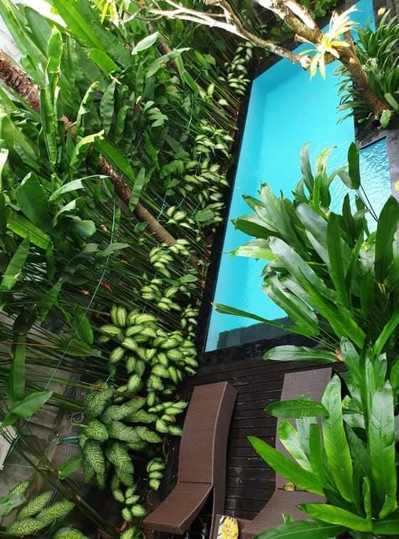 The Pavilion Kuta Hotel